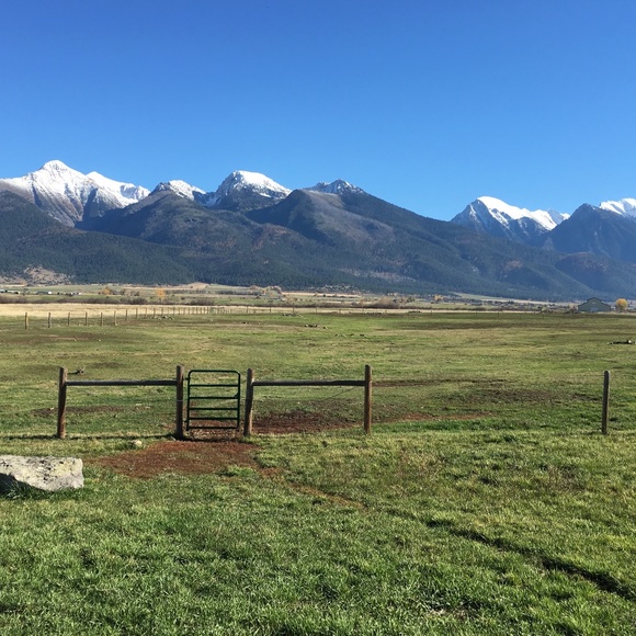 Meet your Posher, Ruth - Picture 3 of 16